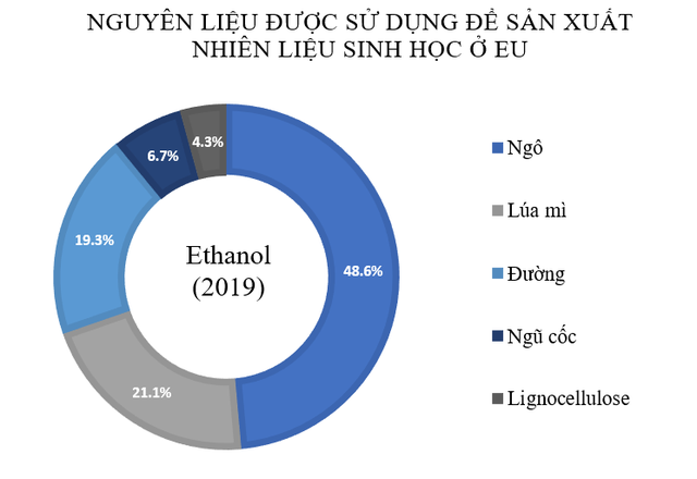 Sự mâu thuẫn của việc sử dụng lương thực để nuôi ... ô tô  - Hình 3.
