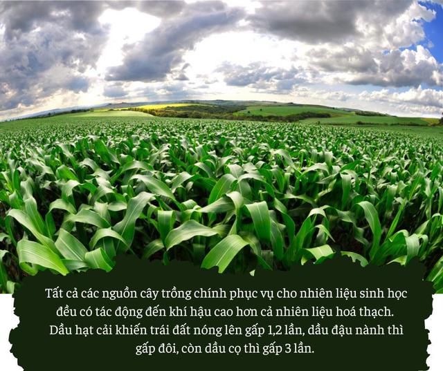 Nghịch lý lương thực dùng để nuôi ... ô tô  - Hình 5.