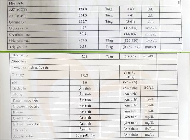 Sau khi đi được 500 km đi làm bằng xe đạp, chính tôi cũng ngạc nhiên với những gì hai vợ chồng đã đạt được  - Ảnh 5.