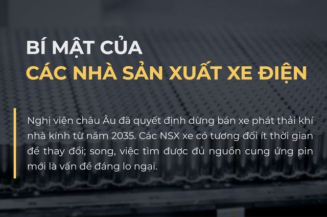 Tổng giám đốc Volkswagen: Nhiều tập đoàn lớn lo lắng khi chuyển từ xăng sang điện - Vingroup đã tiên phong 1 bước - Ảnh 5.