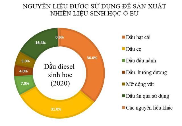 Sự mâu thuẫn của việc sử dụng lương thực để nuôi ... ô tô  - Hình 2.