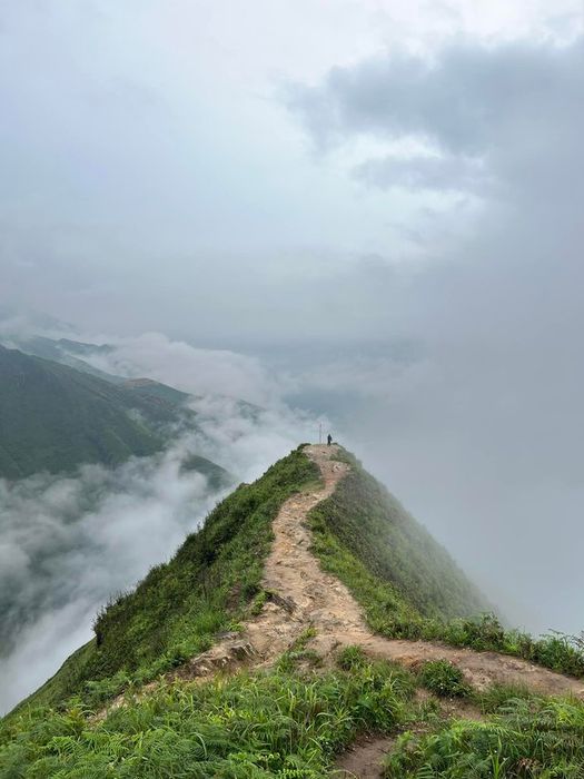Chi gần 80 triệu đồng, nhóm bạn 4 người lên đường xuyên Việt trong 35 ngày để kỷ niệm 10 năm tình bạn - Ảnh 5.
