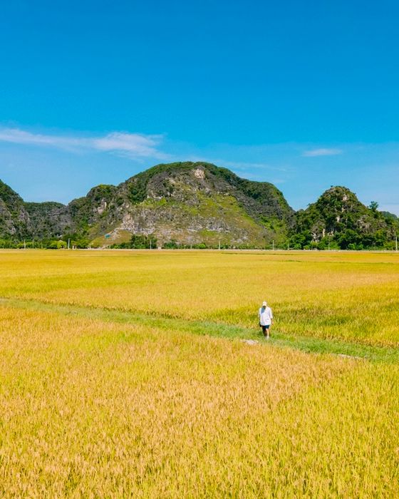 Chàng trai người thập kỷ 90 đam mê du lịch và hành trình qua 30 tỉnh thành của Việt Nam: Đi du lịch là cách đầu tư cho bản thân không bao giờ lỗ - Ảnh 7.