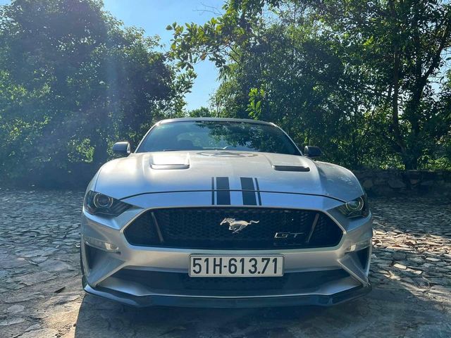 Cặp đôi 'quái vật cơ bắp' Ford Mustang độc đáo tại Việt Nam gia nhập danh sách xe giá trị hàng tỷ đồng, 'làm bạn' cùng Bugatti Veyron - Ảnh 5.