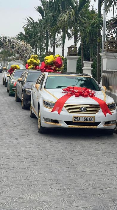 Tiệc kỷ niệm ngày cưới của doanh nhân Hải Dương: Dàn siêu xe trăm tỷ chật kín, cùng chuyên cơ và du thuyền đắt tiền - Ảnh 3.