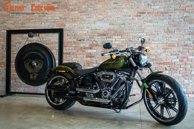Đoạt 3 HCV SEA Games 31, vận động viên dancesport được thưởng chiếc Harley-Davidson Breakout trị giá gần 1 tỷ đồng - Ảnh 3.