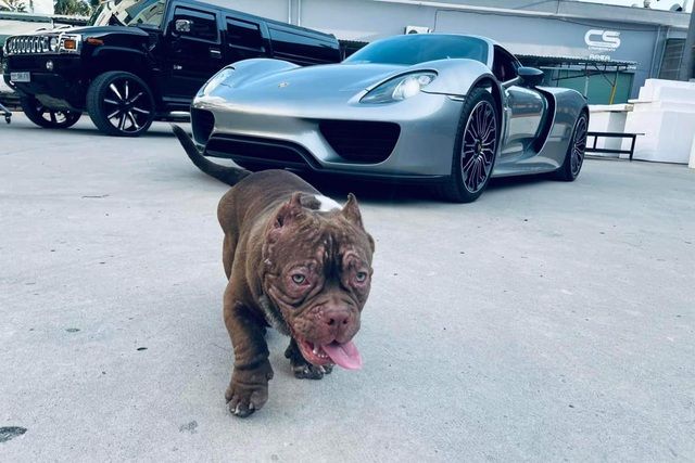 Chiếc siêu xe Porsche 918 Spyder thứ hai tại Việt Nam từng chia sẻ cùng showroom, nhận diện bởi bộ ba McLaren Senna và Koenigsegg Regera của doanh nhân nổi tiếng Hoàng Kim Khánh - Ảnh 1.
