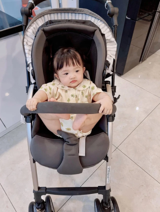 Các đại gia Việt mua đồ cho con: Cường Đô La tậu Bentley cho con gái, thiếu gia Phan Thành dắt con đi bằng xe đẩy 60 triệu VNĐ - Ảnh 6.