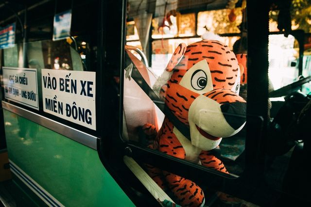 Xe buýt tràn ngập gấu bông đang thu hút sự chú ý: Phụ xe là một thợ săn thú đích thực - Hình 11.
