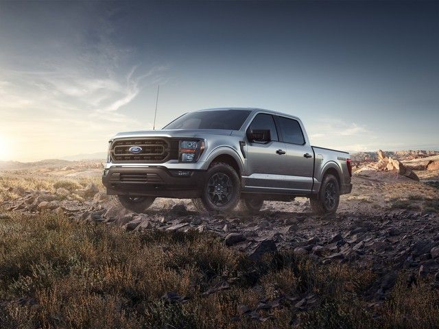 Ford F-150 Rattler - Phiên bản off-road giá rẻ chỉ bằng một nửa so với Raptor - Ảnh 1.