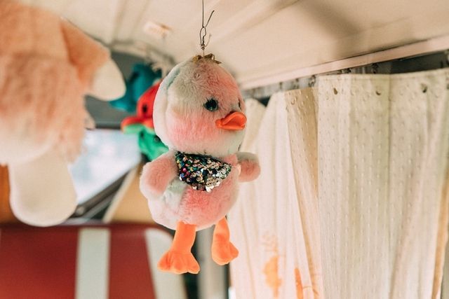 Xe buýt tràn ngập gấu bông đang thu hút sự chú ý: Phụ xe là một chuyên gia gắp thú thực thụ - Hình 3.