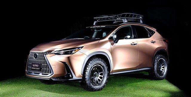 Ít ai ngờ rằng Lexus NX sang trọng sẽ có ngày được biến thành một phiên bản thể thao bụi bặm như thế này - Ảnh 2.