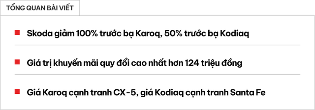 Skoda Karoq, Kodiaq giảm đến 124 triệu đồng phí lăn bánh: Giá thực tế từ 880 triệu, dễ cạnh tranh với CX-5, Tucson - Ảnh 1.