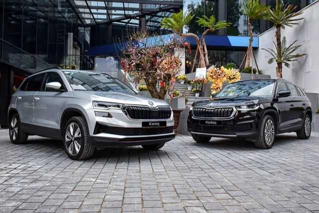 Skoda Karoq, Kodiaq giảm đến 124 triệu đồng phí lăn bánh: Giá thực tế từ 880 triệu, dễ cạnh tranh với CX-5, Tucson - Ảnh 2.