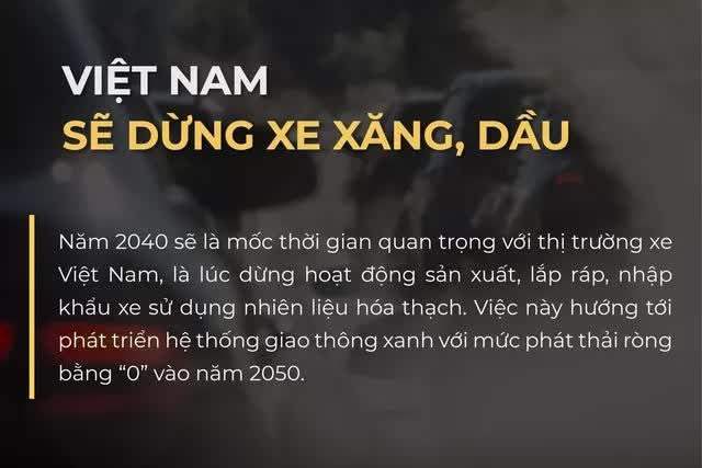 Việt Nam đặt thời hạn ngừng sản xuất, lắp ráp và nhập khẩu xe sử dụng nhiên liệu hóa thạch - Hình 1.