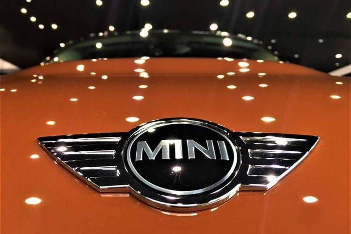 mini logo.jpg