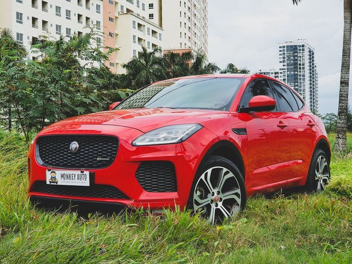 jaguar e pace.jpg