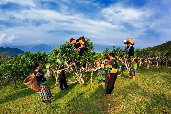 Trèo đèo, lội suối săn mây Y Tý trên chiếc Land Rover doi-che-suoi-giang-yen-bai.jpg