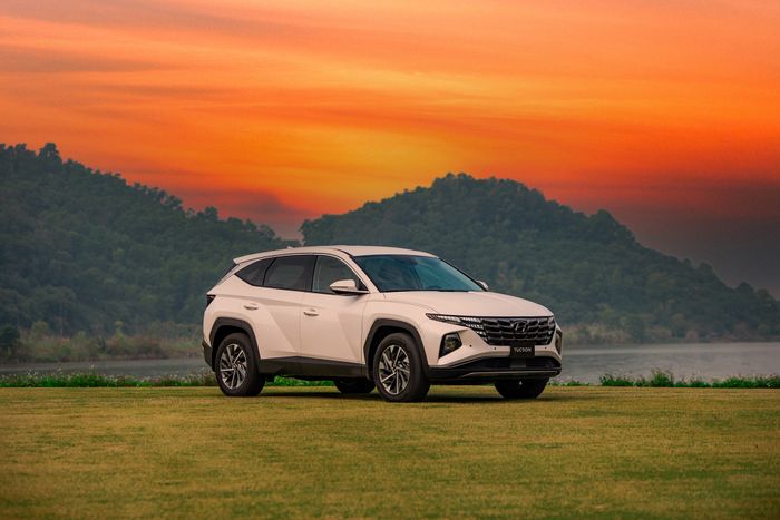 Trong số các mẫu xe Hyundai, Santa Fe đứng thứ 4 với 565 xe, tăng gấp đôi so với tháng trước. Tucson có 412 xe, tăng gấp 2,5 lần, Elantra đạt 272 xe, tăng 83,8%, và Stargazer chỉ đạt 230 xe. Các mẫu xe thương mại của Hyundai có tổng cộng 723 xe bán ra trong tháng 6 năm 2023.