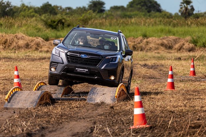 Subaru Forester 2023 đã chính thức ra mắt tại Việt Nam, với mức giá từ 969 triệu đồng.