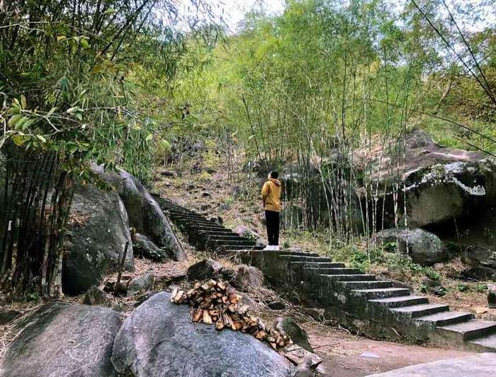 Tú Dương Miếu, điểm đến yên bình nằm bên rừng trúc 5