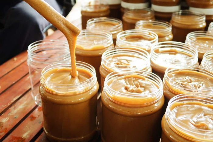 Cây Thốt nốt An Giang, món quà quý giá từ thiên nhiên 10