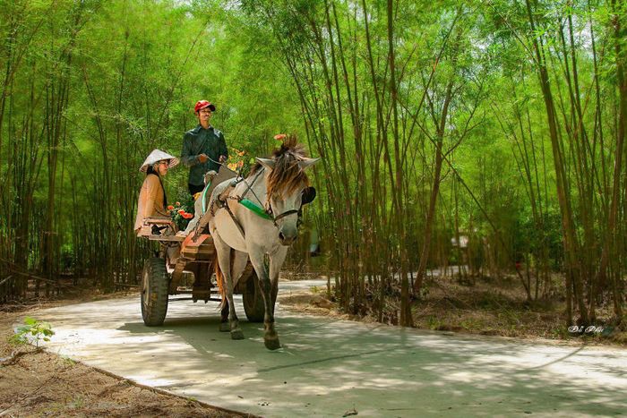 Gợi ý lịch trình Trekking Thất Sơn An Giang hoang sơ và hùng vĩ 6