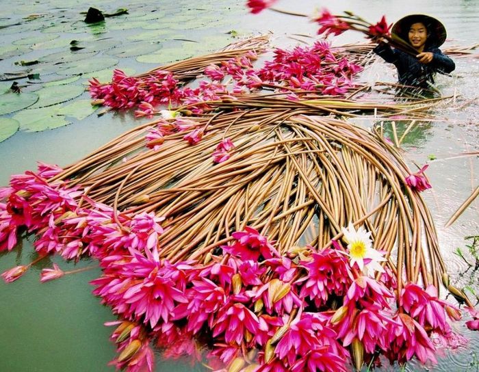 Hành trình 1 ngày ở An Giang và những hoạt động không thể bỏ qua 5