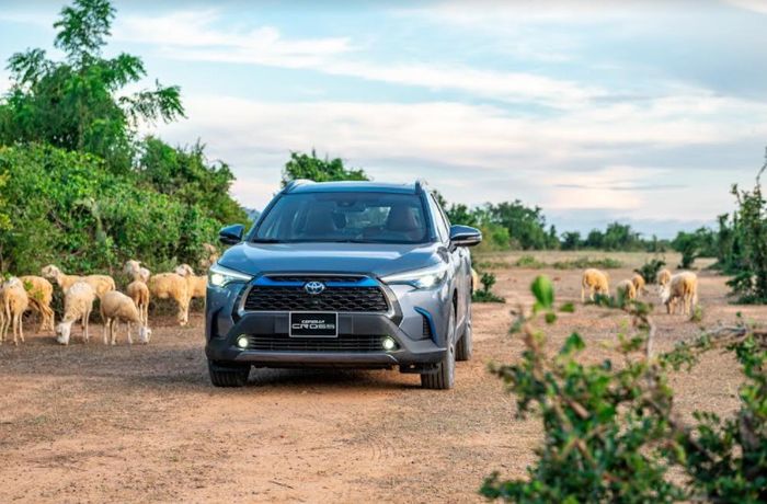 Toyota Việt Nam bán được hơn 4.300 xe trong tháng 2/2022