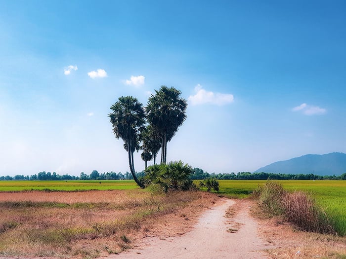 Lịch trình khám phá Tri Tôn An Giang phần 7 đầy hấp dẫn