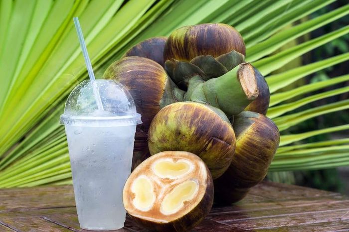 Cây Thốt nốt An Giang, món quà quý giá từ thiên nhiên 7