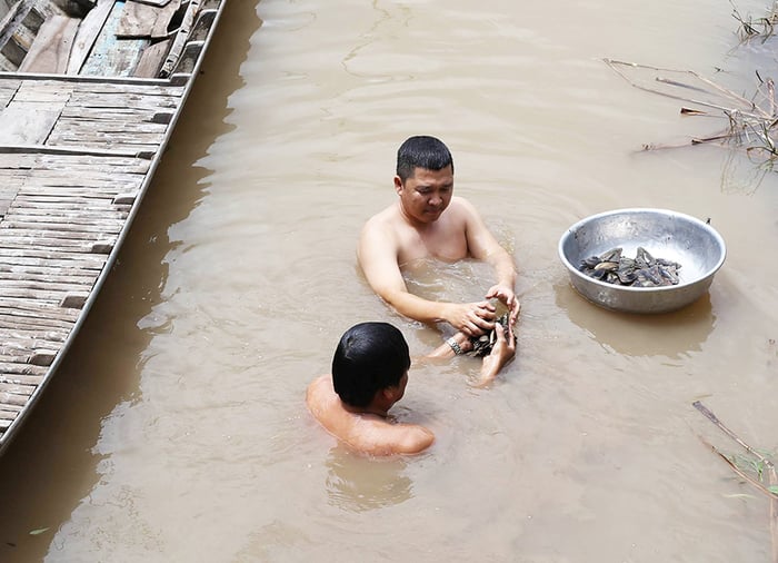 Bí quyết khám phá Vàm Nao mùa nước nổi độc đáo nhất cho bạn 4