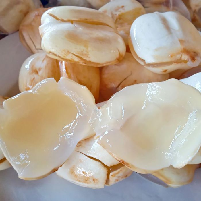 Cây Thốt nốt An Giang, món quà quý giá từ thiên nhiên 6