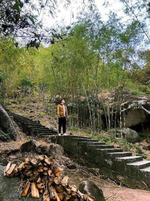 Tú Dương Miếu, điểm đến yên bình nằm bên rừng trúc 4