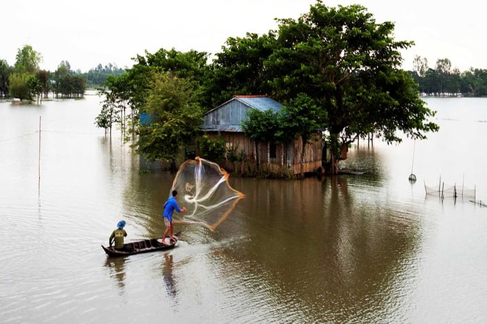 Bí quyết khám phá Vàm Nao mùa nước nổi độc đáo nhất cho bạn 3