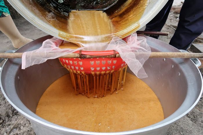 Cây Thốt nốt An Giang, món quà quý giá từ thiên nhiên 9