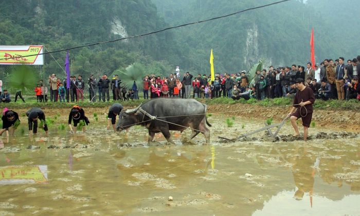 Khám phá Lễ hội Lồng Tồng của người Tày tại Kiến Thành, Yên Bái 7