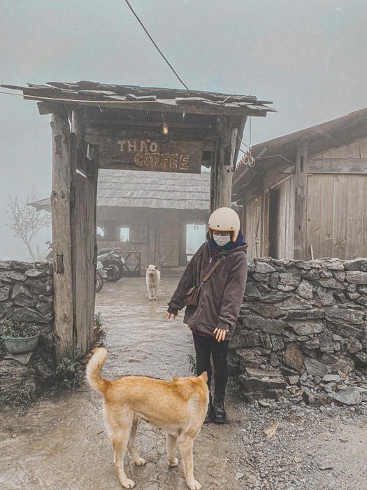 Đánh Giá Tà Xùa của Linh Xinh: Phương tiện di chuyển và nơi ăn uống