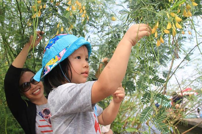 Bí quyết du lịch Phú Tân, khám phá văn hóa Nam Bộ 6