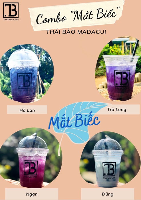 Hãy đến ngay cafe Thái Bảo để thưởng thức menu đa dạng và hấp dẫn