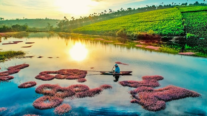 Những điểm vui chơi và 10 trải nghiệm thú vị ở Bảo Lộc 8