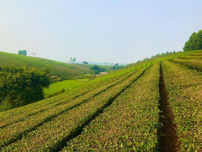 Ghi chú ngay tuyến đường tới suối Đá Bàn ở Bảo Lộc một cách nhanh chóng nhất