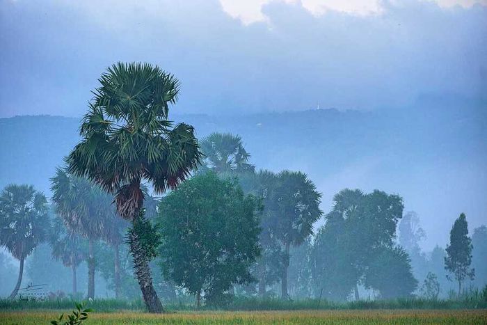 Bình minh tại vùng Bảy Núi, không gian thần bí trong bình mơ sớm 6