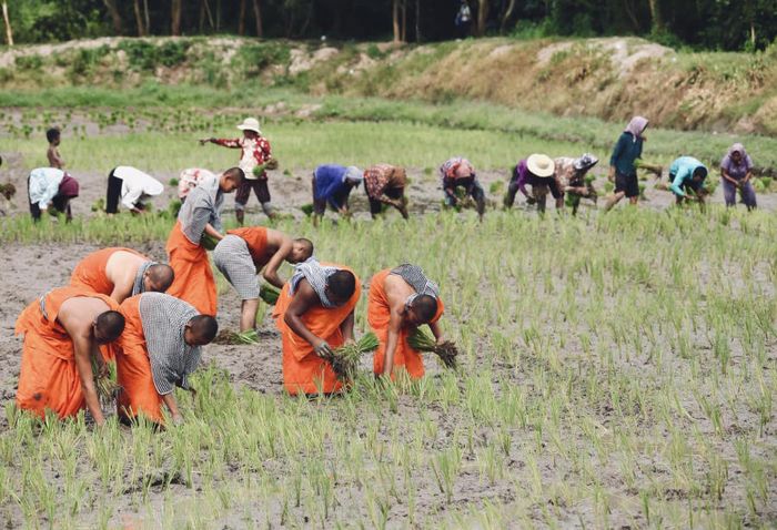 Tham gia vào Tết Senl Donta của người Khmer là cơ hội để hòa mình vào không khí lễ hội truyền thống và khám phá văn hóa độc đáo.