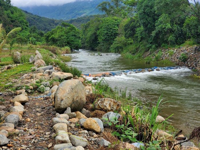 Suối Lâm Hà Bảo Lộc, viên ngọc quý kỳ diệu nằm giấu kín trong lòng Tây Nguyên gió lồng lộng