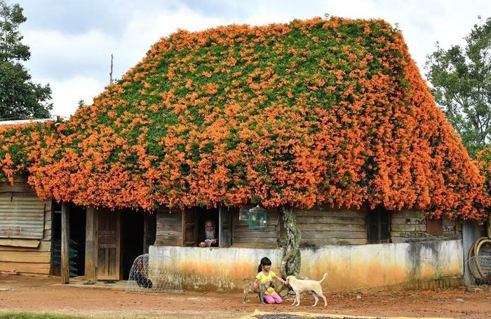 Những điểm tham quan không thể bỏ lỡ ở Bảo Lộc 4