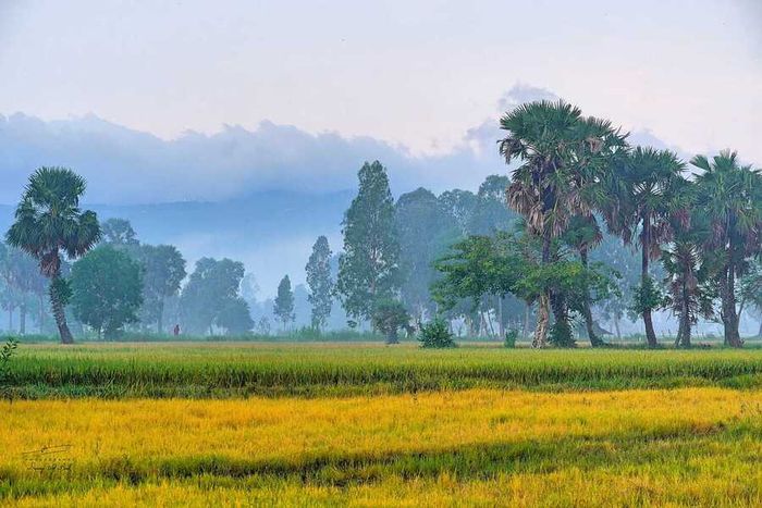 Bình minh tại vùng Bảy Núi, không gian thần bí trong buổi sớm tinh mơ 7