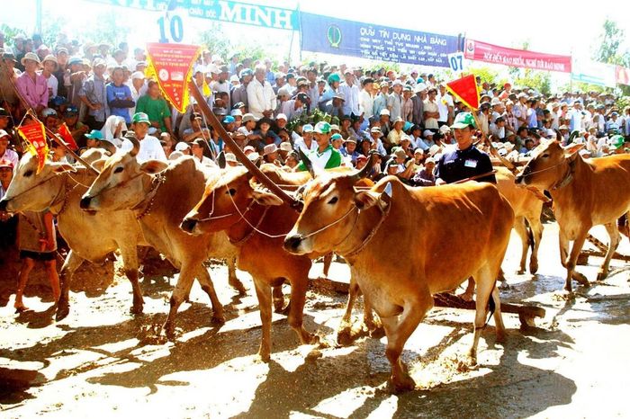 Khám phá sự đa dạng của Văn hoá lễ hội ở An Giang theo từng dân tộc