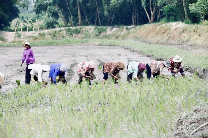 Tham gia vào Tết Senl Donta của người Khmer là cơ hội tuyệt vời để trải nghiệm nét đẹp văn hóa truyền thống.