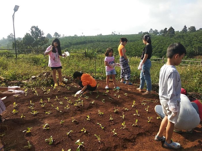 Khám phá Vintage Garden's Farmstay tại Bảo Lộc 10, một điểm đến đẹp và lý tưởng